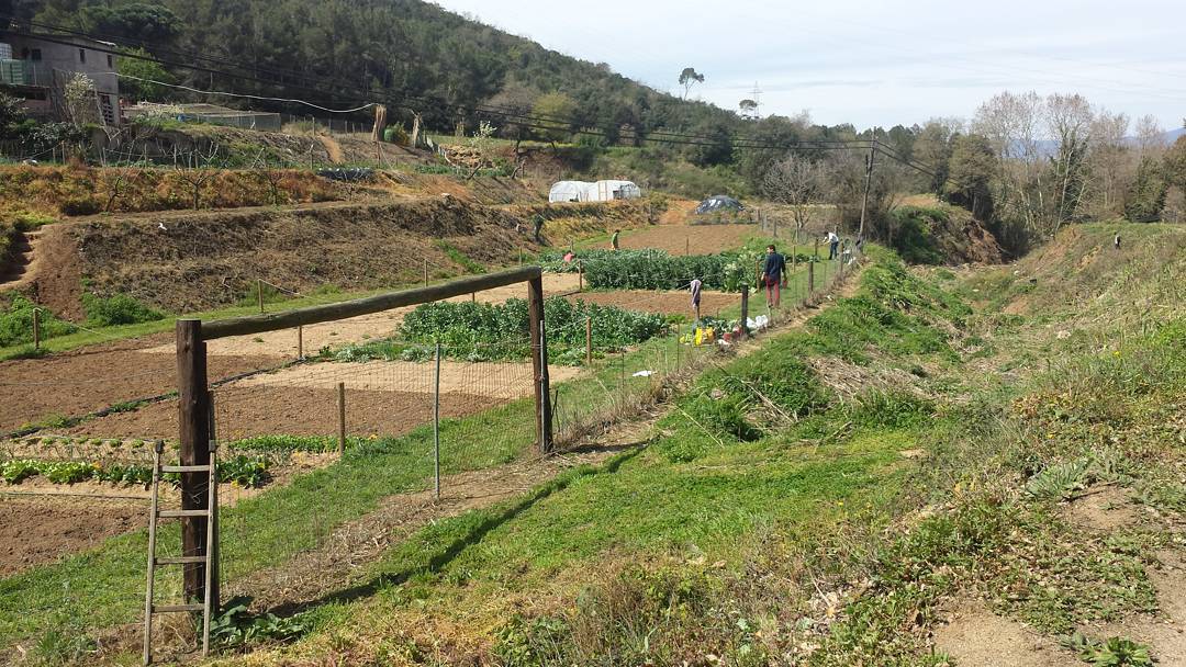 Horts ecològics al Parc Natural de la Serralada de Marina