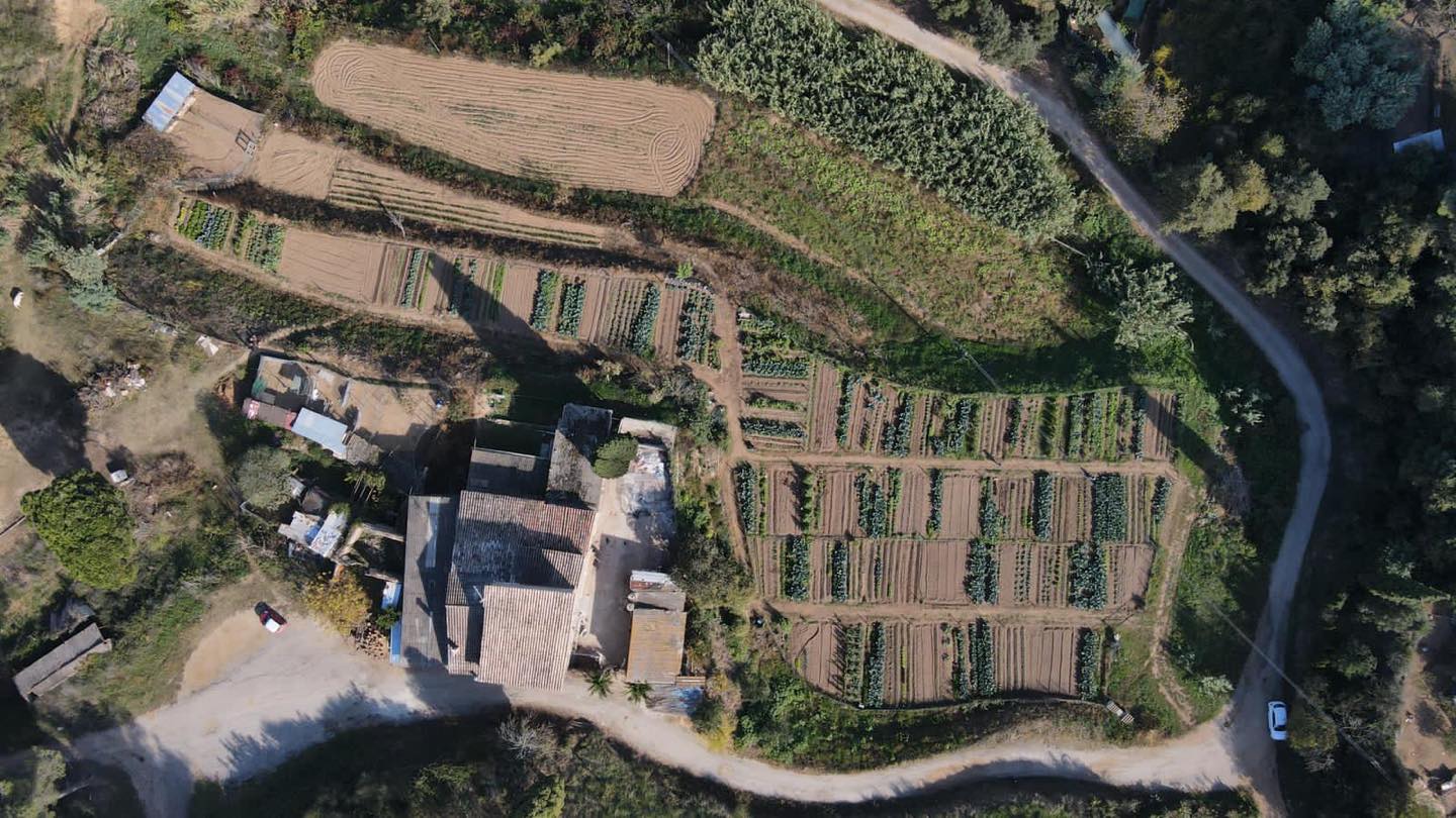 Horts urbans de Sant Fost - imatge 17