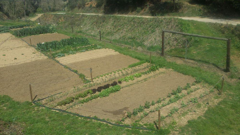 Horts urbans de Sant Fost - imatge 20