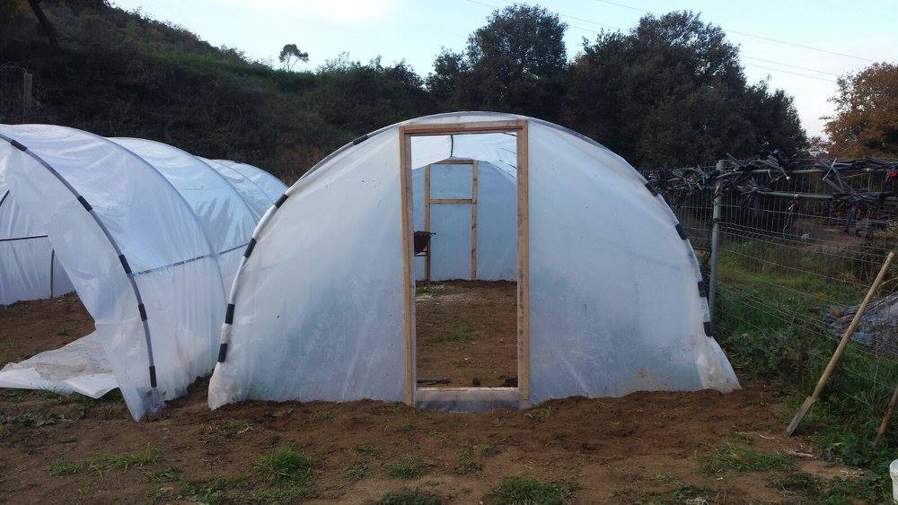 Horts urbans de Sant Fost - imatge 21