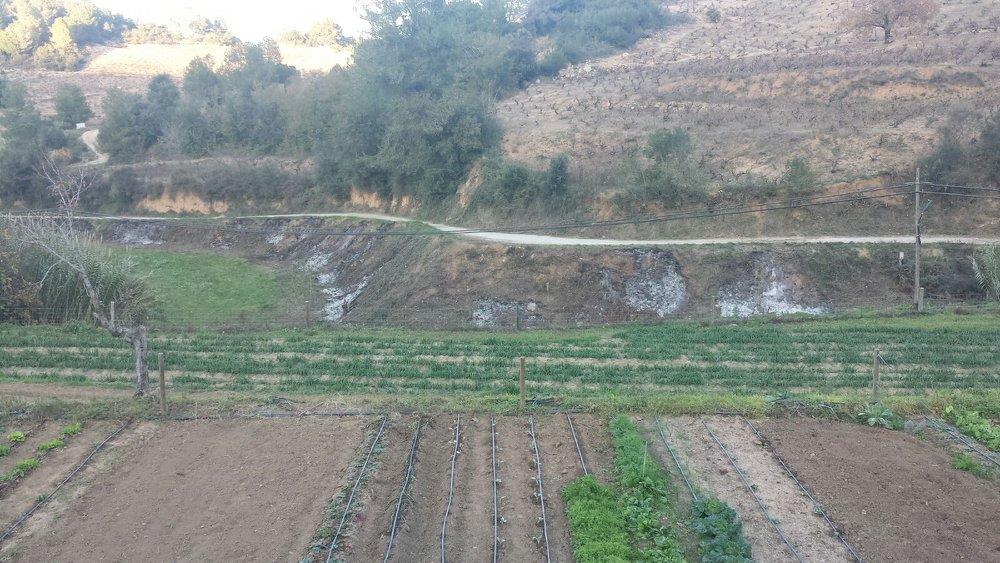 Horts urbans de Sant Fost - imatge 22